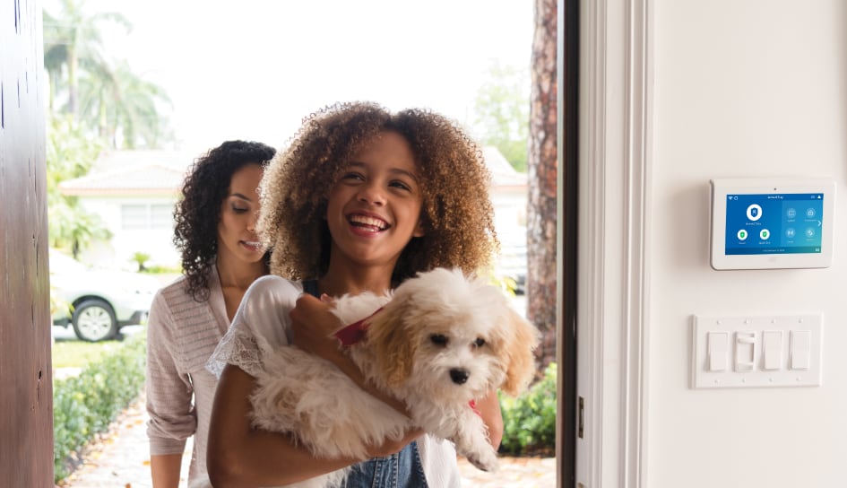 ADT Security System in a Madison home